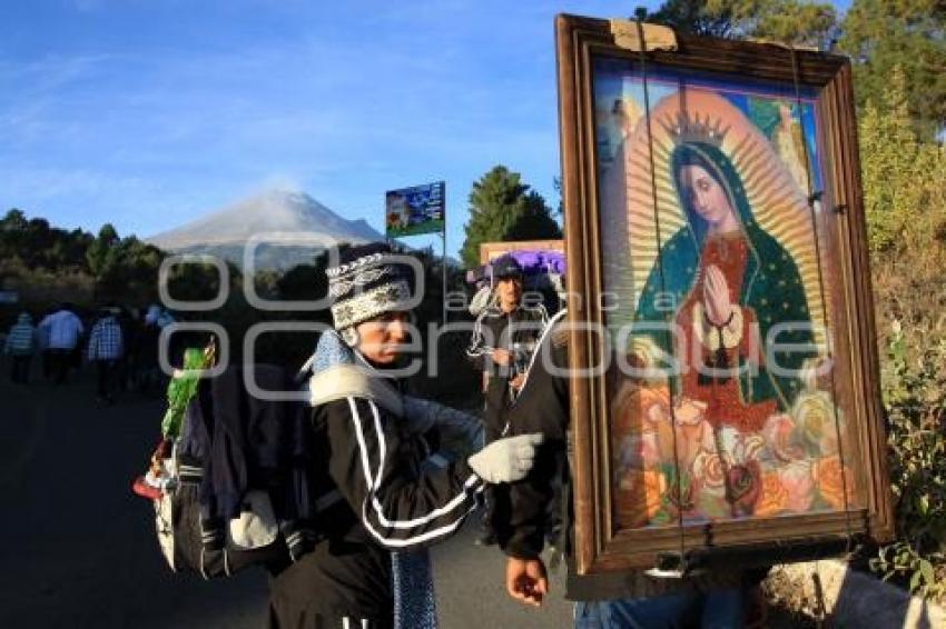 PEREGRINOS AVANZAN HACIA LA BASÍLICA DE GUADALUPE