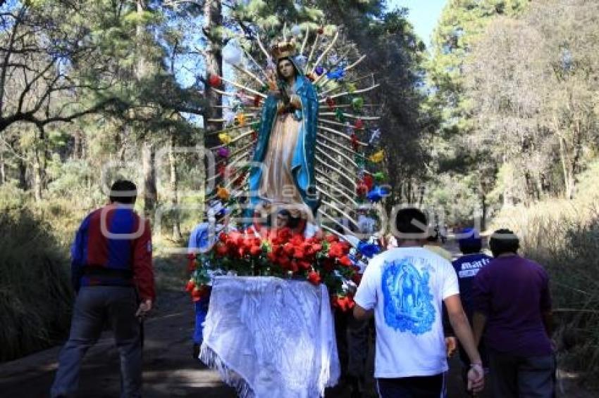 PEREGRINOS AVANZAN HACIA LA BASÍLICA DE GUADALUPE