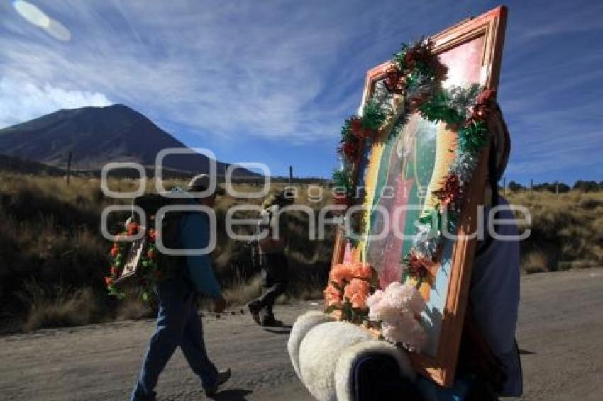 PEREGRINOS AVANZAN HACIA LA BASÍLICA DE GUADALUPE