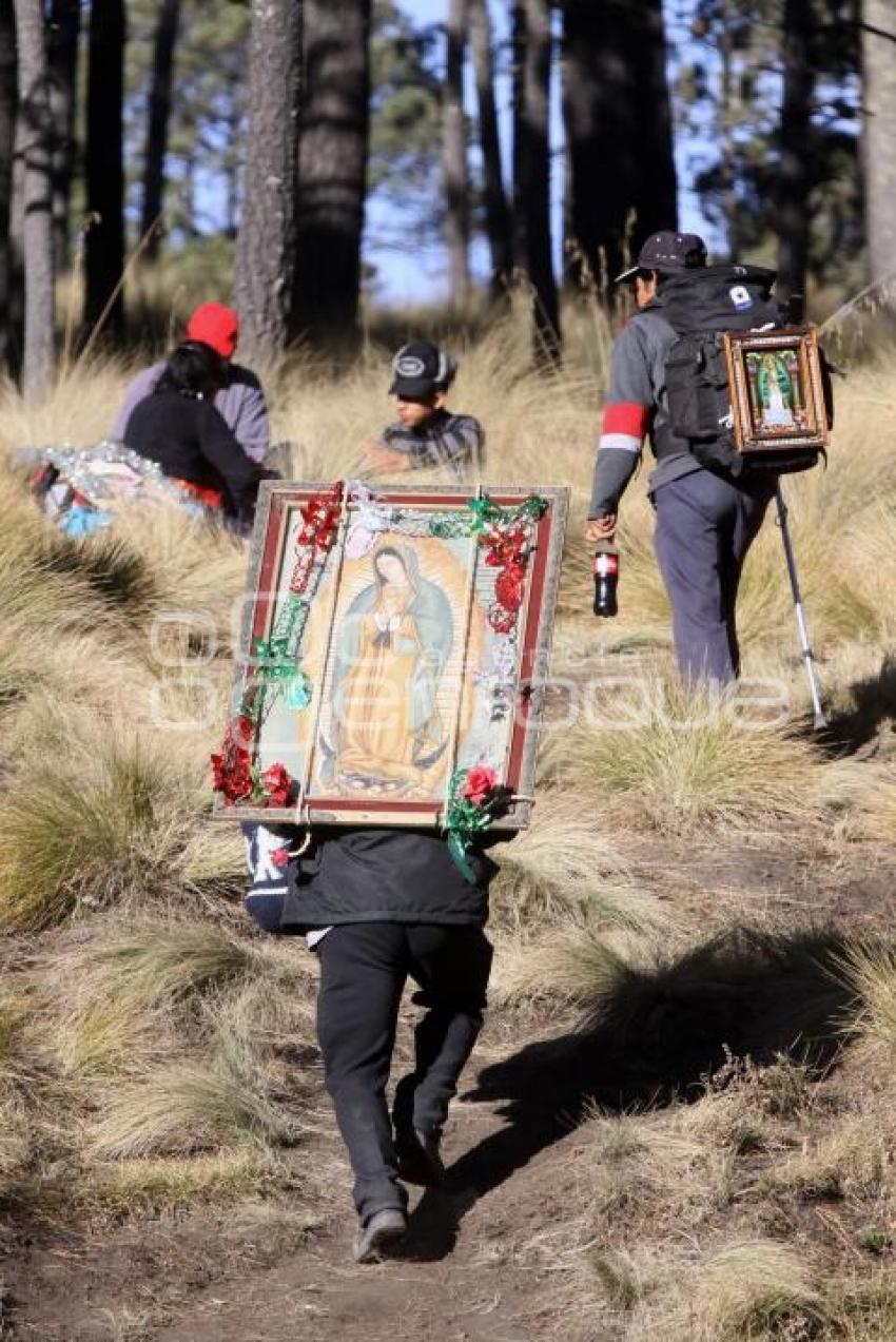 PEREGRINOS AVANZAN HACIA LA BASÍLICA DE GUADALUPE