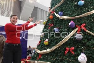 ENCENDIDO ÁRBOL DE LOS DESEOS DIF ESTATAL