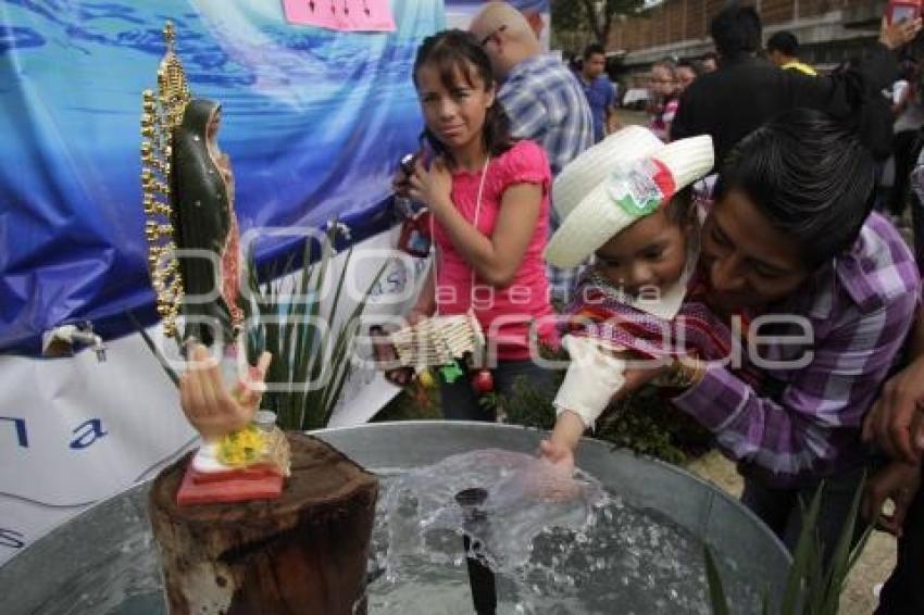 FERIA GUADALUPANA . SEMINARIO