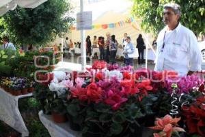 FERIA DE COLORES, SONIDOS  Y SABORES