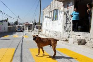 RIVERA INAUGURÓ CALLES EN SANTO TOMÁS CHAUTLA