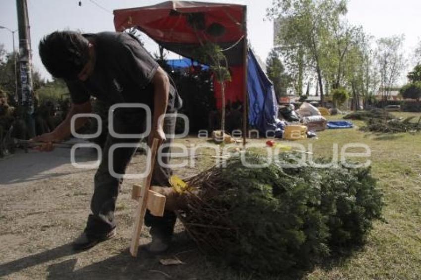 ÁRBOLES DE NAVIDAD
