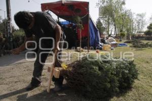 ÁRBOLES DE NAVIDAD