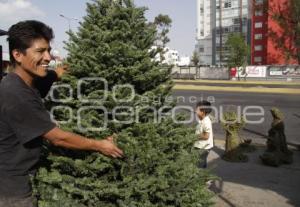 ÁRBOLES DE NAVIDAD