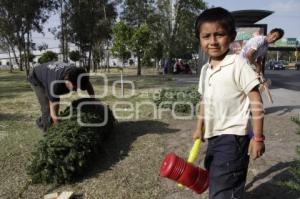 ÁRBOLES DE NAVIDAD