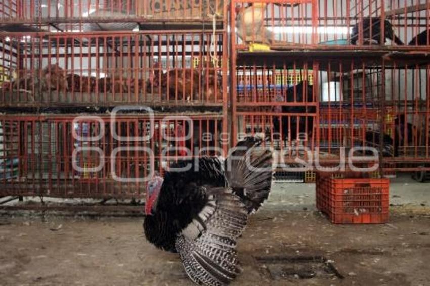 CENA NAVIDEÑA. PAVO