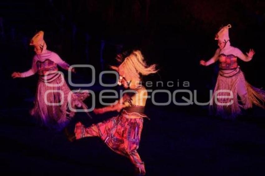 SAFARI NOCTURNO