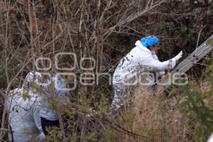 EJECUTADOS EN VALSEQUILLO