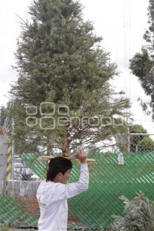 RECICLADO DE ÁRBOLES DE NAVIDAD