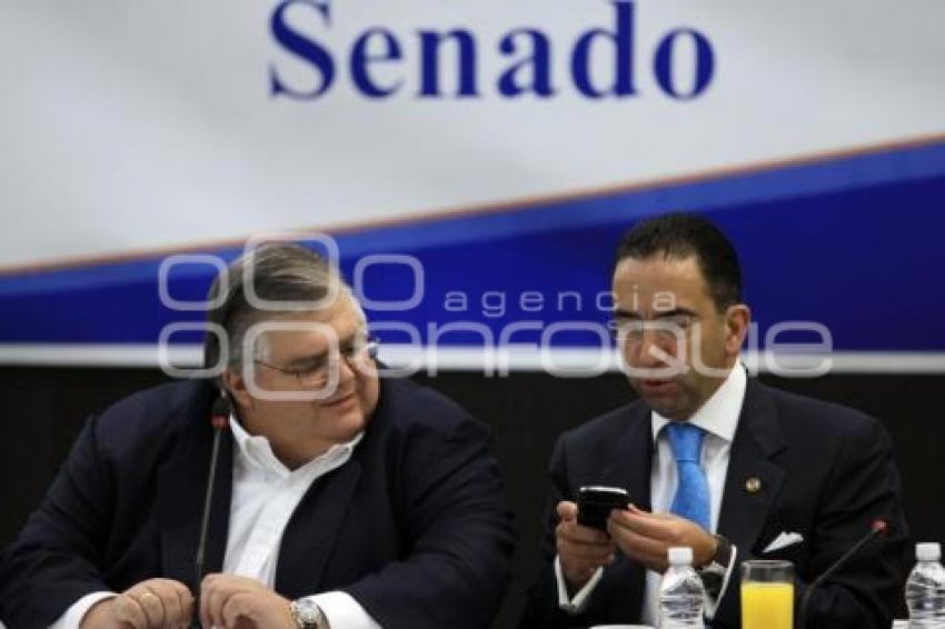 REUNIÓN PLENARIA SENADORES PAN