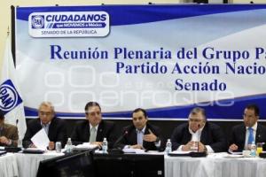 REUNIÓN PLENARIA SENADORES PAN