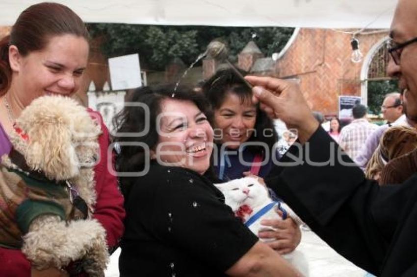 BENDICIÓN DE ANIMALES