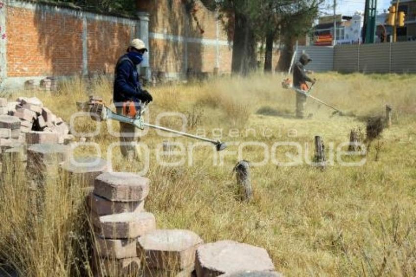 RESCATE DE PREDIO EN LA COLONIA PRADOS DE AGUA AZUL