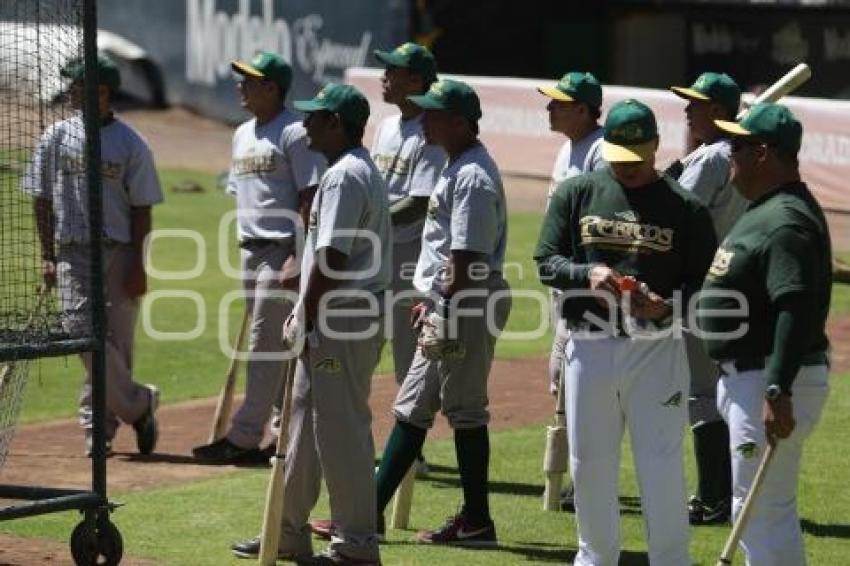 BEISBOL . PRETEMPORADA PERICOS DE PUEBLA
