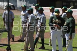 BEISBOL . PRETEMPORADA PERICOS DE PUEBLA