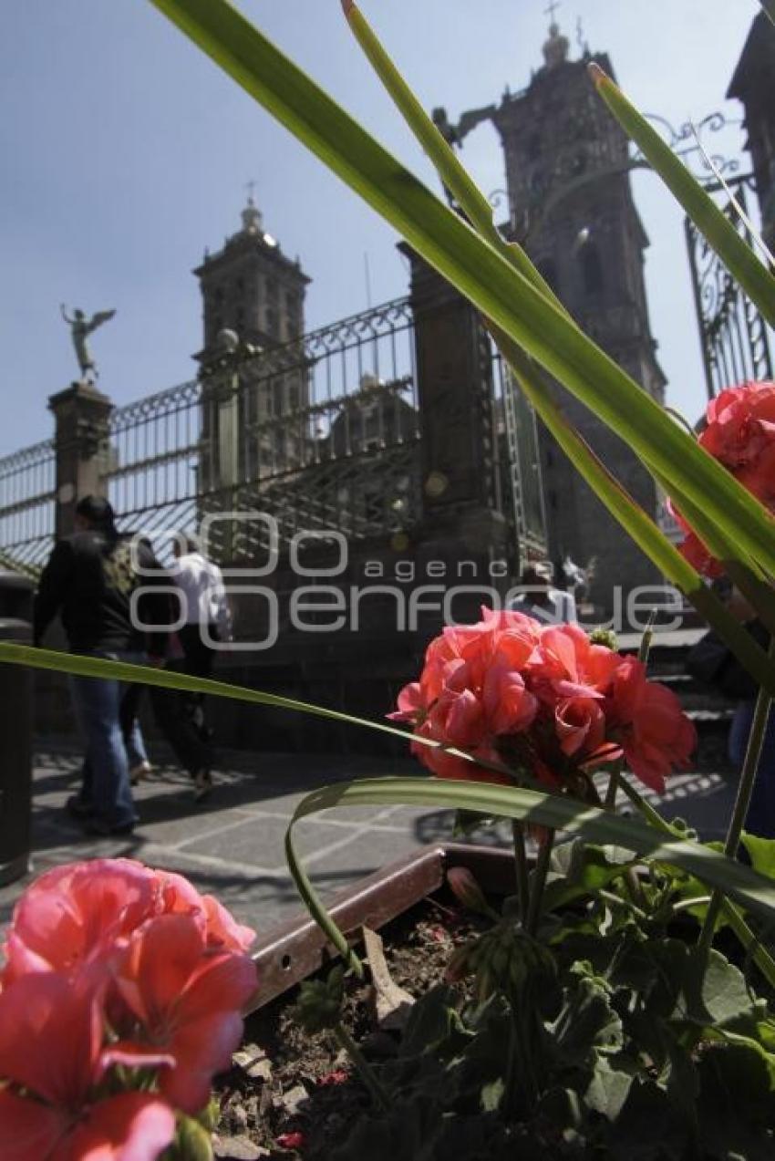 COLOCAN JARDINERAS EN 16 DE SEPTIEMBRE