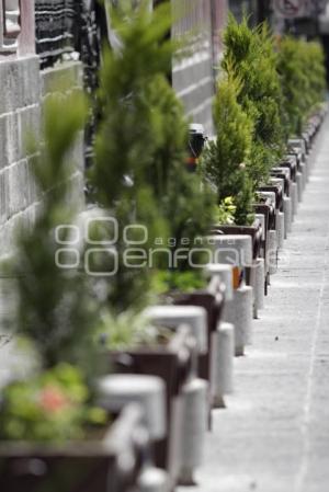 COLOCAN JARDINERAS EN 16 DE SEPTIEMBRE