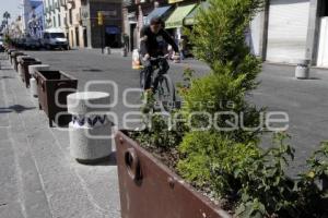 COLOCAN JARDINERAS EN 16 DE SEPTIEMBRE