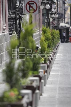 COLOCAN JARDINERAS EN 16 DE SEPTIEMBRE