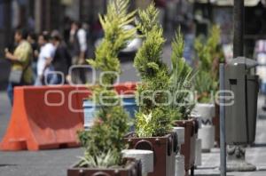 COLOCAN JARDINERAS EN 16 DE SEPTIEMBRE