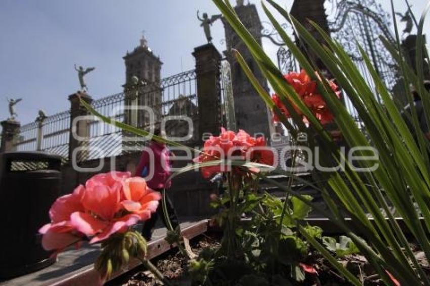 COLOCAN JARDINERAS EN 16 DE SEPTIEMBRE