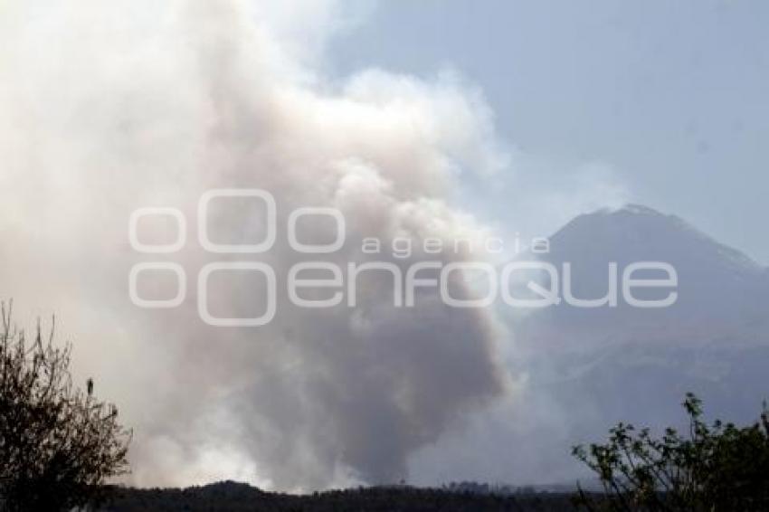 INCENDIO FORESTAL