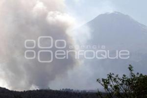 INCENDIO FORESTAL