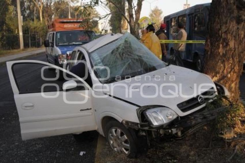 MUERE AL CHOCAR CONTRA ÁRBOL EN FORJADORES