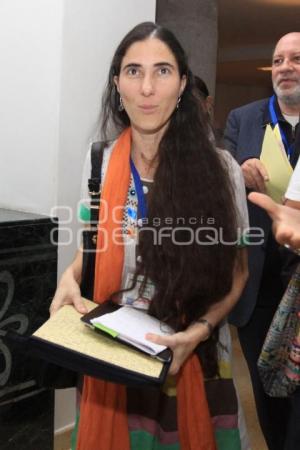 YOANNI SÁNCHEZ. SIP