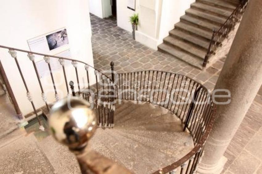 APERTURA CASA DEL MENDRUGO