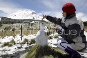 NEVADA EN LOS VOLCANES