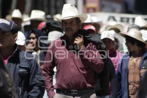 MANIFESTACIÓN ADN