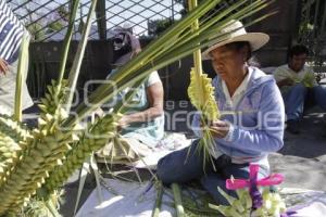 DOMINGO DE RAMOS . SEMANA SANTA