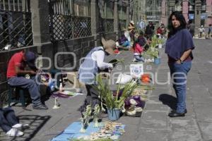 DOMINGO DE RAMOS . SEMANA SANTA