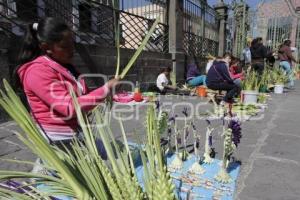 DOMINGO DE RAMOS . SEMANA SANTA