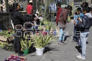 DOMINGO DE RAMOS . SEMANA SANTA