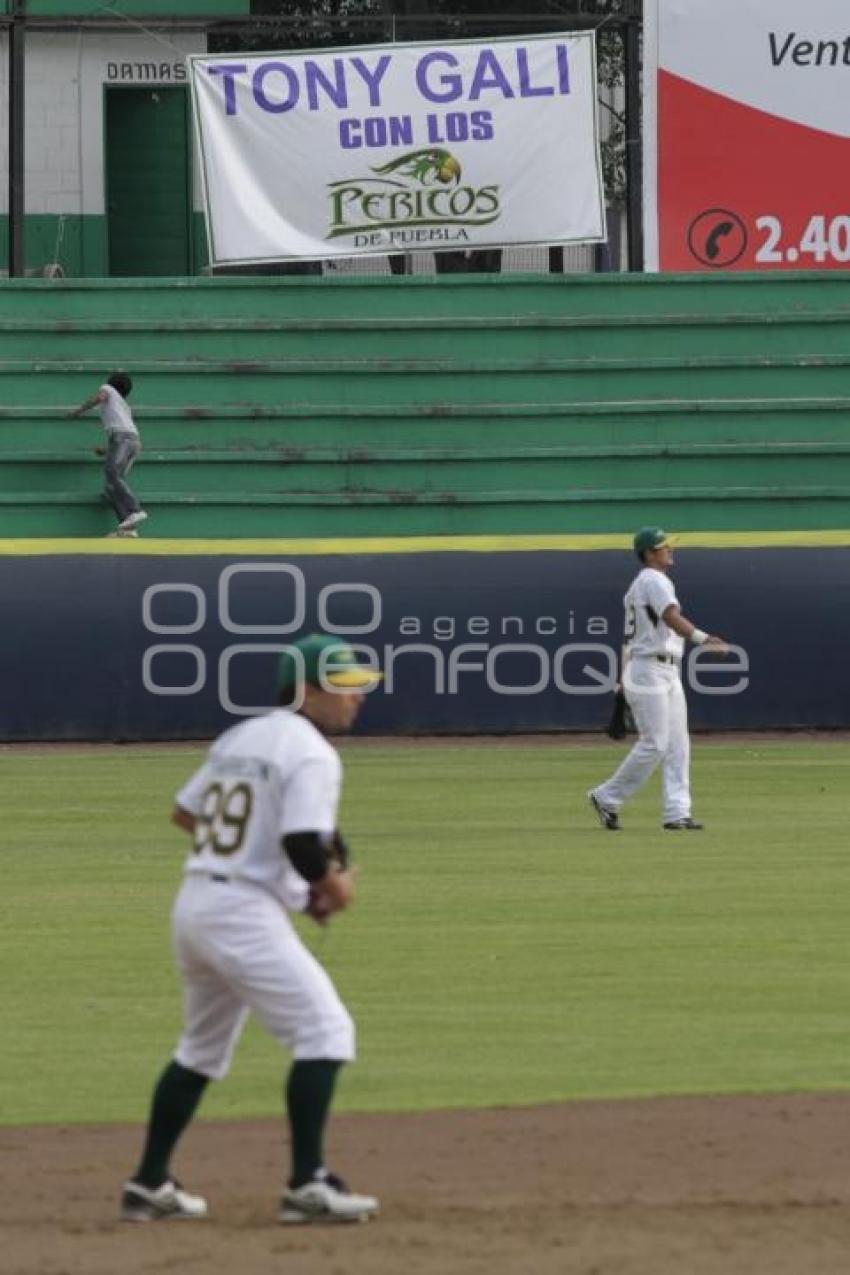 PERICOS VS SULTANES . BEISBOL