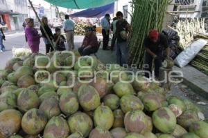 COLOCACIÓN DE PUESTOS EN EL CALVARIO