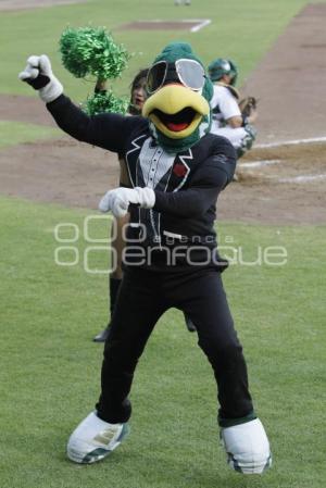 PERICOS VS BRONCOS . BEISBOL