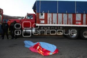 CHOFER MUERTO