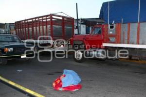 CHOFER MUERTO