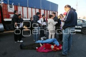 CHOFER MUERTO