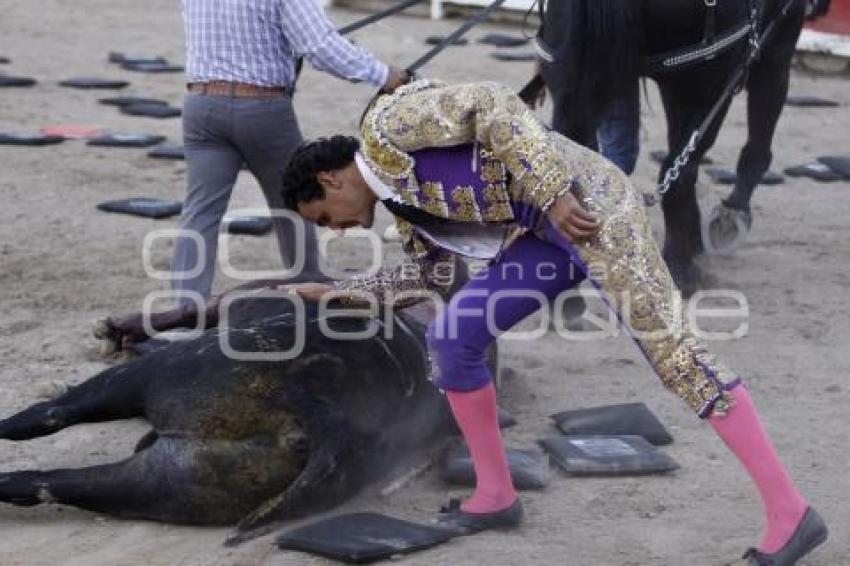 TORERO FERMIN SPINOLA . TOROS EN EL RELICARIO