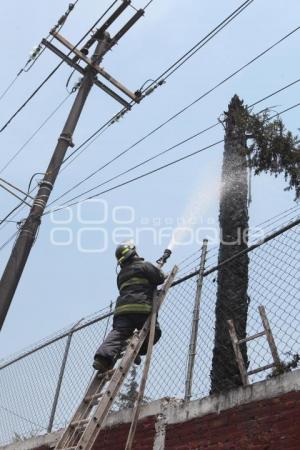 SE INCENDIA PALMERA EN ESCUELA
