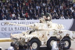 DESFILE 5 DE MAYO