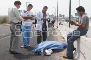 MUERE HOMBRE ATROPELLADO