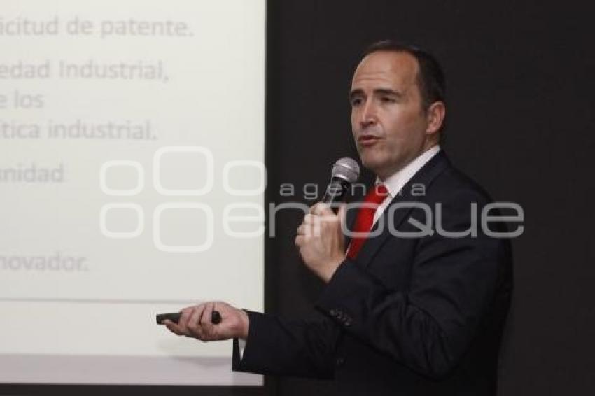TITULAR DEL INSTITUTO MEXICANO DE LA PROPIEDAD INTELECTUAL